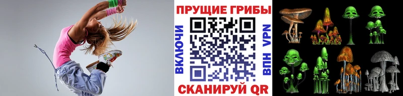 мега вход  Могоча  Галлюциногенные грибы Psilocybine cubensis 
